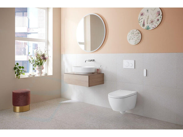 Geberit AquaClean Alba
