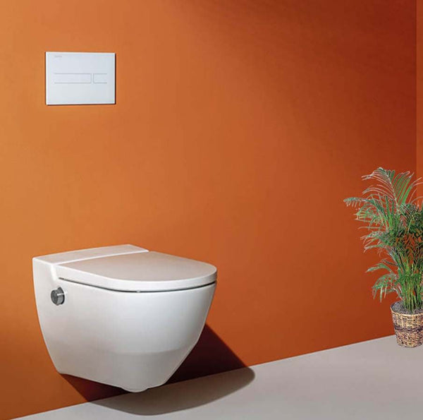 Laufen Cleanet Riva