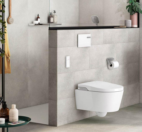 Roca Inwash