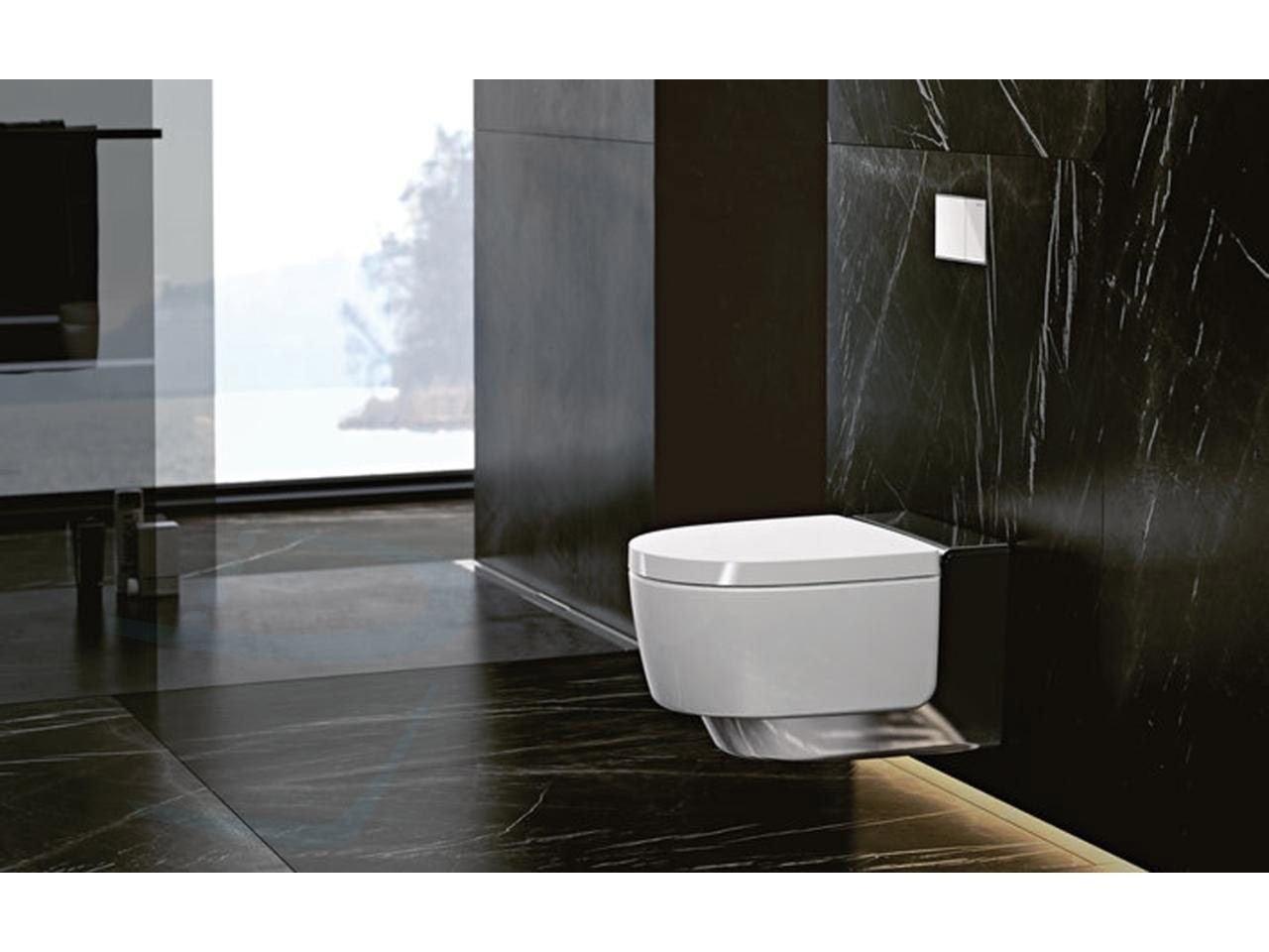 Geberit Aquaclean Mera