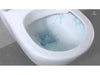 Douche WC Villeroy & Boch Direct Flush