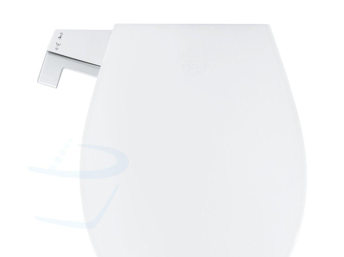 GROHE BAU CERAMIC STAANDE WC met bidetzitting