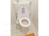 Blooming bidet installatie demo