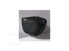 Laufen Riva Cleanet