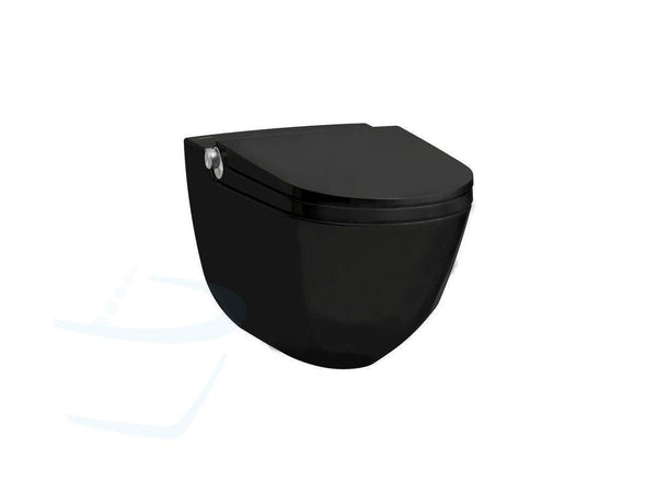 Laufen Riva Cleanet