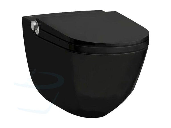 Laufen Riva Cleanet