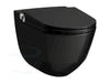 Laufen Riva Cleanet