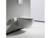  toilet-zonder-rand