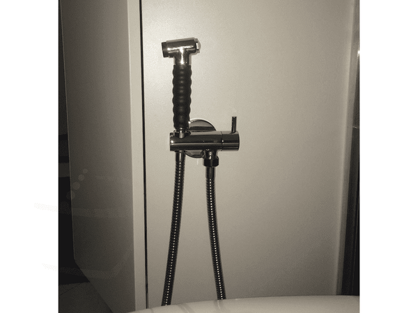 Chrome Handspray