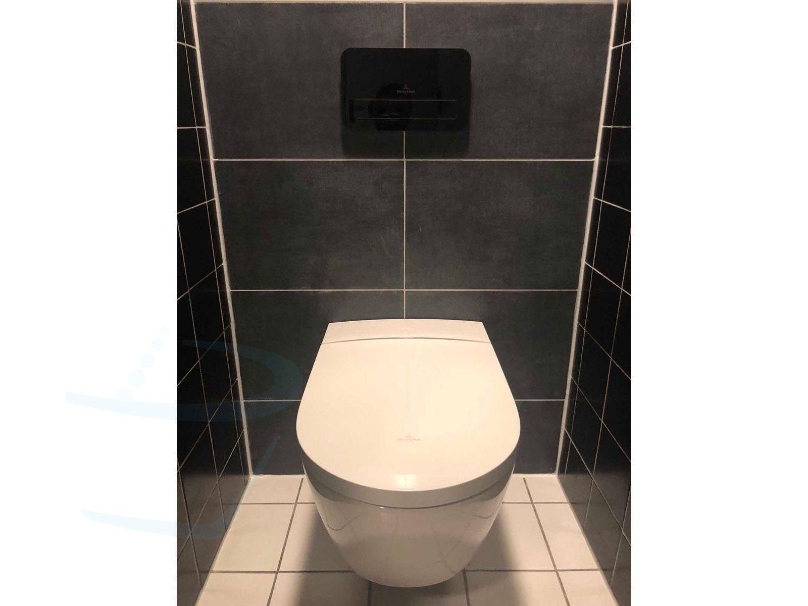 villeroy & boch viclean i100