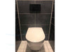 villeroy & boch viclean i100