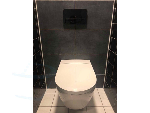 villeroy & boch viclean i100