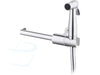  wc sproeier RVS met toiletrolhouder 